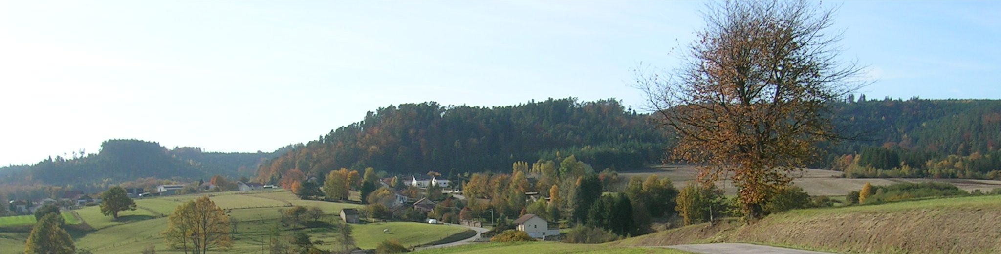 Bandeau de fond